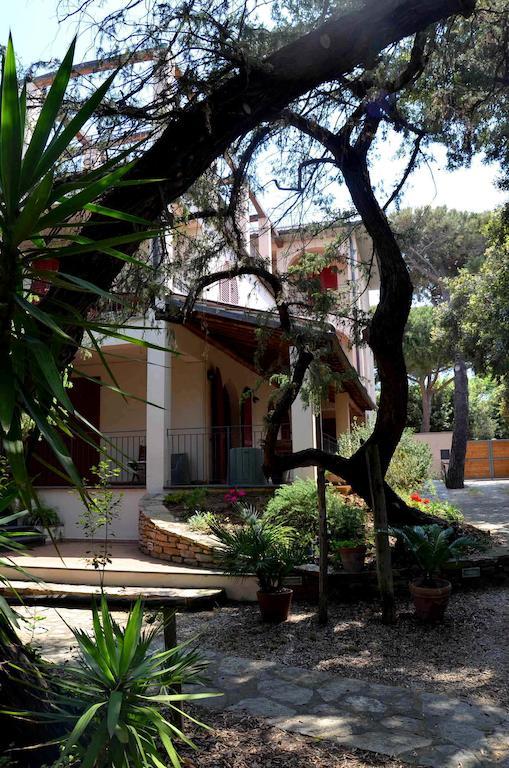 Residence Solalto San Vincenzo Bagian luar foto